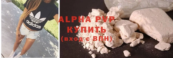 стаф Алексин