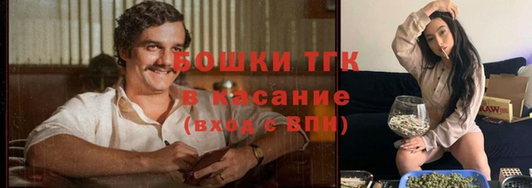 твердый Алзамай