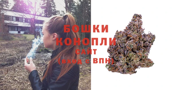 сатива Алексеевка