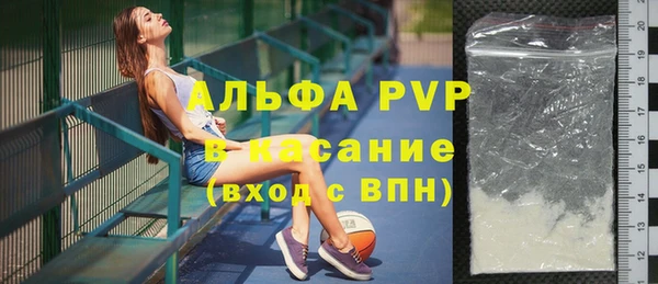 стаф Алексин