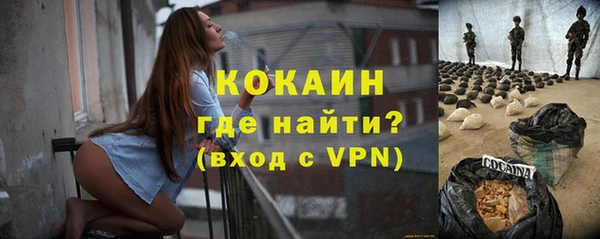 твердый Алзамай