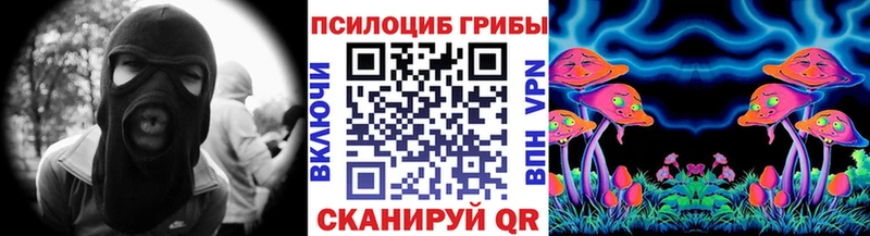 Псилоцибиновые грибы Psilocybe как найти наркотики Мышкин